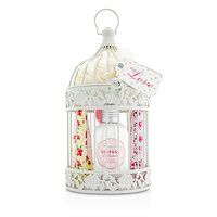 Heathcote & Ivory Vintage Collection Enchanted Birdcage With Assorted Pampering Treats
