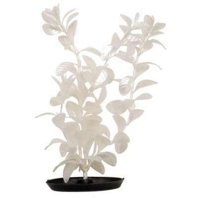 Hagen Marina Pearlscaper Red Ludwigia Plant, White, 12-Inch