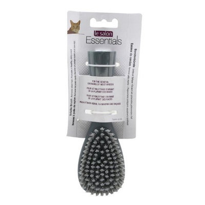 Hagen Le Salon Essentials Bristle Brush - Small