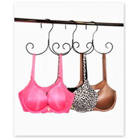 Boottique, Inc. 6 Piece Lingerie Care Kit