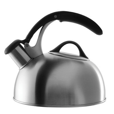 OXO Good Grips Pick Me Up Brushed Teakettle