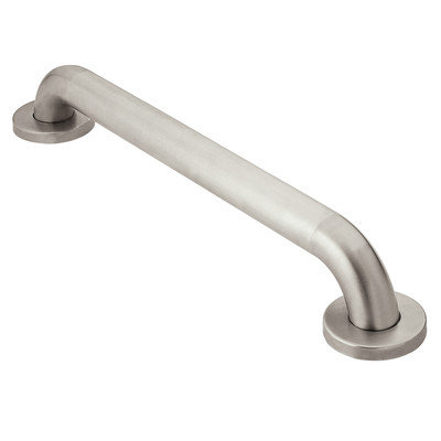 Homecare By Moen Creative Specialties by Moen Home Care Grab Bar