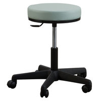 Oakworks Premium Stool Color: Forest