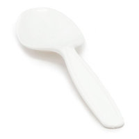 Restaurantware PLA Compostable Spoon (250 Count)