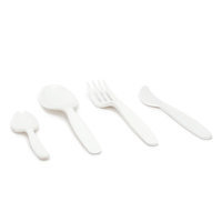 Restaurantware PLA Compostable Fork (250 Count)