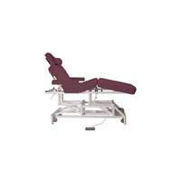 Customcraftworks McKenzie Deluxe Electric Massage Table Color: Haze Grey
