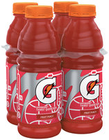 Gatorade® Fruit Punch Sports Drink 15.2 fl. oz. Bottle