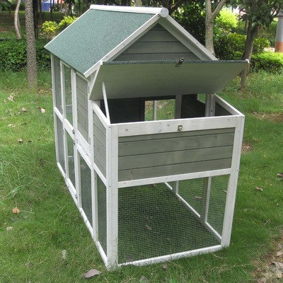 Innovation Pet Coops and Feathers Superior Hen House with Free Range Door