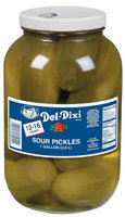 Del-Dixi Sour 12-16 Ct Pickles 1 Gal Jar