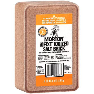 Morton® iOFIXT® Iodized Salt 4 lb. Brick