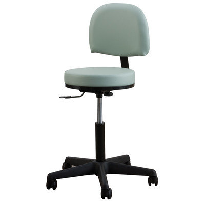 Oakworks Adjustable Premium Stool with Backrest Color: Espresso