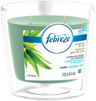 Candle Febreze Scented Candle Meadows & Rain Air Freshener (1 Count, 4.3 oz)