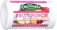 Old Orchard® Fruit Punch Juice Drink 12 fl. oz. Can
