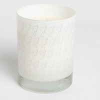 Acadian Candle Rolling in Grass Jar Candle Color: Silver Metallic