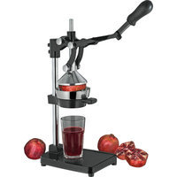 Frieling The Press Pomegranate and Orange Juicer
