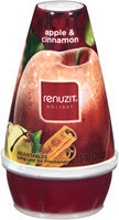 Renuzit Holiday Apple & Cinnamon Long Last Adjustable Air Freshener 7.5 Oz Plastic Container