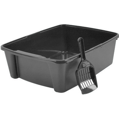 Iris Litter Box with Scoop Color: Gray