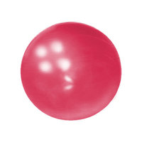 Yoga Direct Weighted Pilates Ball Red