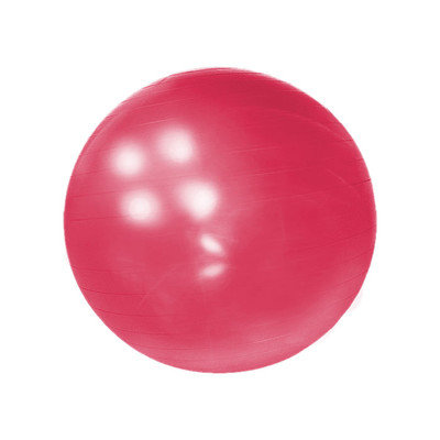 Yoga Direct Weighted Pilates Ball Red