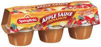 Springfield Cinnamon 4 Oz Apple Sauce 6 Pk Cups
