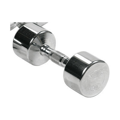 York Barbell Professional Dumbbell Weight: 27.5 lbs