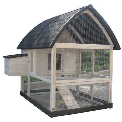 Innovation Pet Coops & Feathers Country Chicken Coop