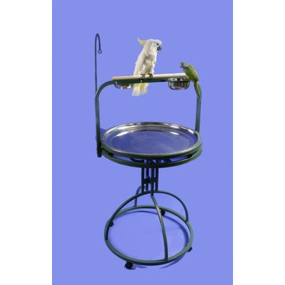 A & E Cage Deluxe Bird Play Stand with Wood Perch Color: Pure White