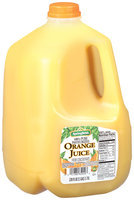 Springfield® 100% Orange Juice from Concentrate 1 Gal Jug