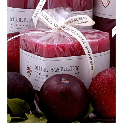 Mill Valley Candleworks Summer Plum Scented Novelty Candle Size: 3.5