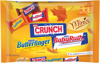 Nestlé Assorted Harvest Minis 11 oz. Bag