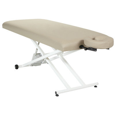 Customcraftworks Elegance Pro Electric Lift Table with Face Rest Base and Pillow Color: Purple