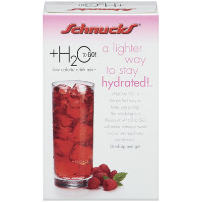 Schnucks +H20 to Go! Raspberry Ice Low Calorie 0.06 Oz Packets Drink Mix 10 Ct Box
