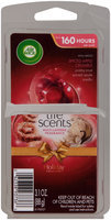 Air Wick® Life Scents™ Holiday Collection Spiced Apple Crumble Wax Melts 3.1 oz. Clamshell