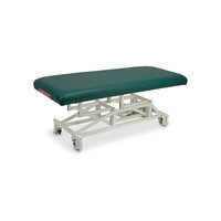 Customcraftworks McKenzie Basic Electric Massage Table Color: Haze Grey