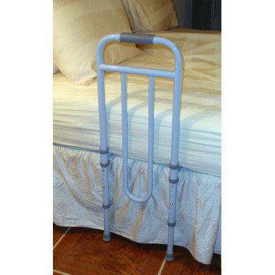 TFI Handirail Bed Assist Rail with Filler Tubes