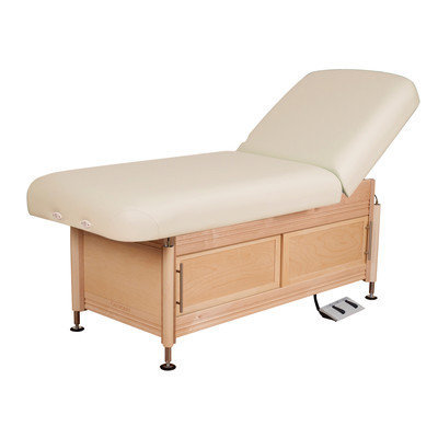 Oakworks Clinician Electric Hydraulic Lift Assist Backrest with Cabinet Color: Opal