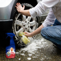 Mr. Clean Outdoor Pro Multipurpose Cleaner 22 fl. oz. Trigger Spray