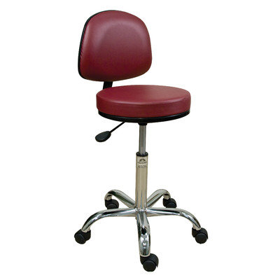 Oakworks Professional Stool with Adjustable Backrest Color: Orchid
