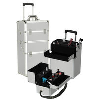 Seya Professional 2-1 Cosmetic Makeup Train Case Color: Silver