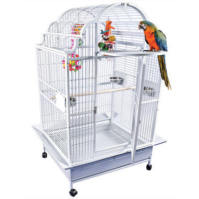 A & E Cage Co Large Victorian Top Bird Cage Color: Stainless Steel
