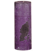 Oddity, Inc. Weathered Wild Plum Pillar Candle Size: 8