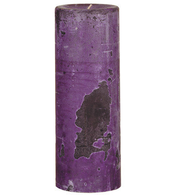 Oddity, Inc. Weathered Wild Plum Pillar Candle Size: 8