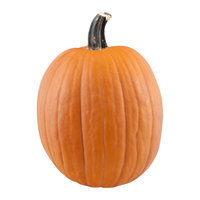 Pumpkin Medium/Large