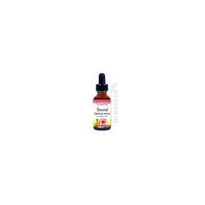 Eclectic Institute Inc Horsetail Freeze-Dried Eclectic Institute 45 Caps