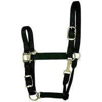 Hamilton Animal Legends Polypropylene 1-Inch Horse Halter