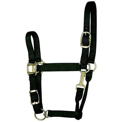 Hamilton Animal Legends Polypropylene 1-Inch Horse Halter