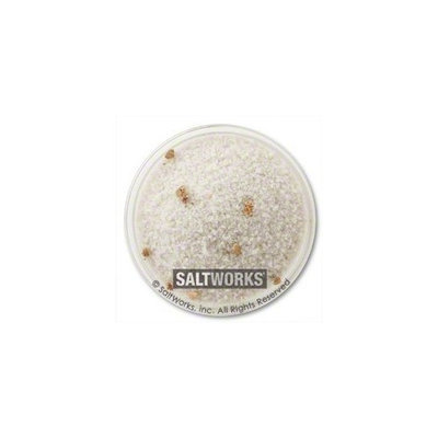 Saltworks Fusion - White Truffle Salt - 5 lbs.