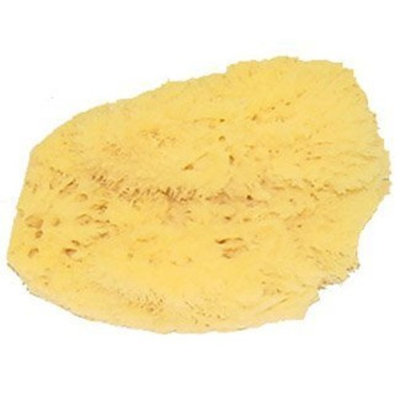 Lotus Light Natural Sea Bath Sponge 7