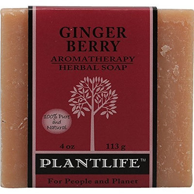 Plantlife Natural Body Care Ginger Berry Aromatherapy Herbal Soap - 4 oz