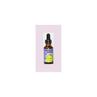 Gravel Root Herbs of Light 1 oz Liquid